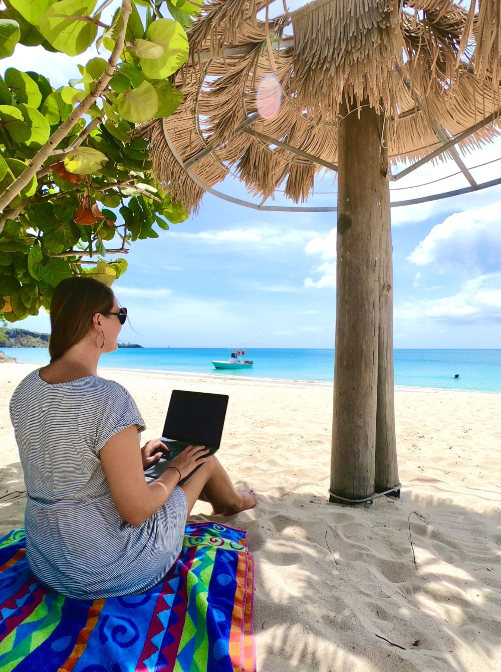 Dariece Laptop Beach Working